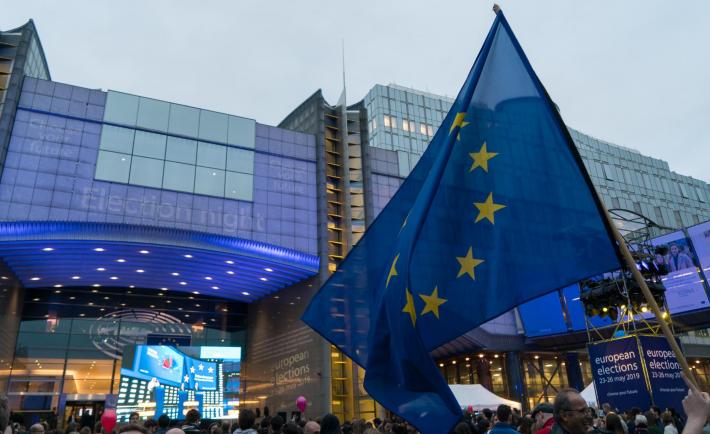 What did the European Parliament elections reveal in Central Europe?