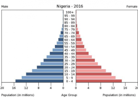 Nigeria's population pyramid shows a population heavily weighted toward youth. Youth account for 60 percent of the Nigerian population and 55.4 percent of the voting-age population.